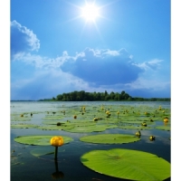 tuinposter