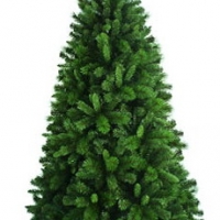 kerst