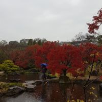 japanse tuin regen