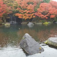 japanse tuin water