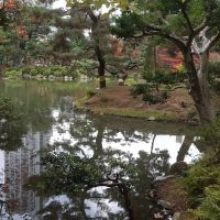 japanse tuin weerspiegeling