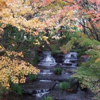 japanse tuin waterval