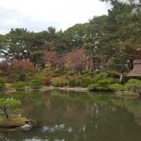 japanse tuin theehuis