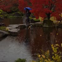 japanse tuin regen