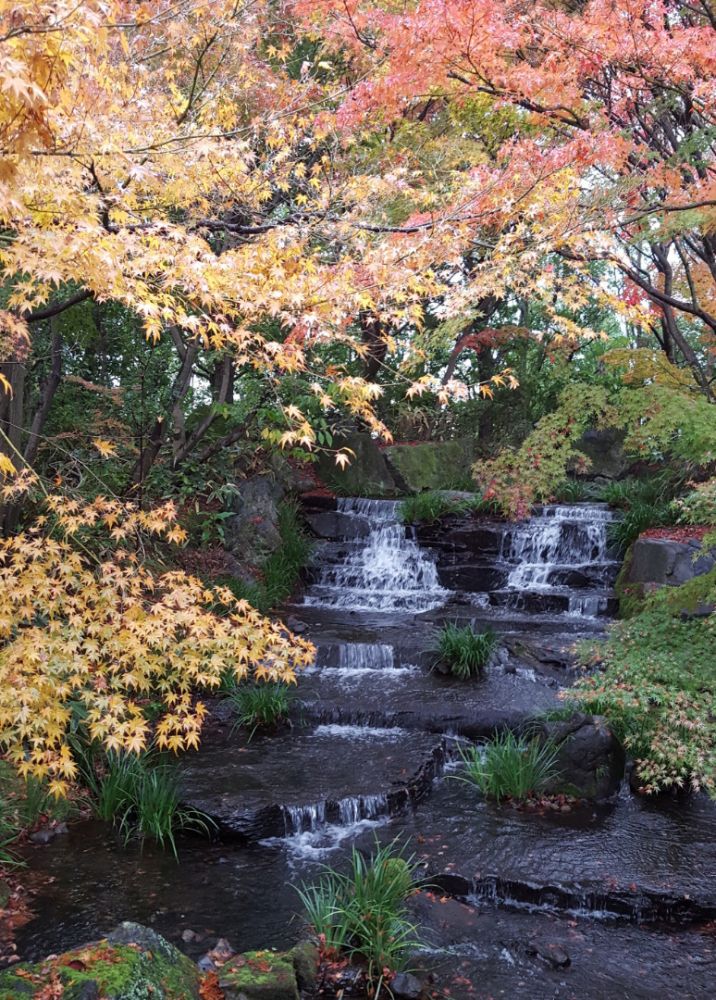 Japanse tuin met waterval